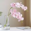 Cành hoa lan hồ điệp giả  - Hàng cao cấp bằng cao su 7 bông cánh xoăn - Trang trí cực đẹp và sang trọng