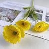 Hoa Anh Túc - Hoa giả để bàn, decor trang trí phòng, làm đạo cụ chụp ảnh cực đẹp