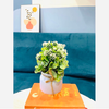 Chậu cây giả - Chậu cây tú cầu nhí để bàn - Decor trang trí nhà cửa cực đẹp