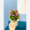 Chậu cây giả - Chậu cây tú cầu nhí để bàn - Decor trang trí nhà cửa cực đẹp