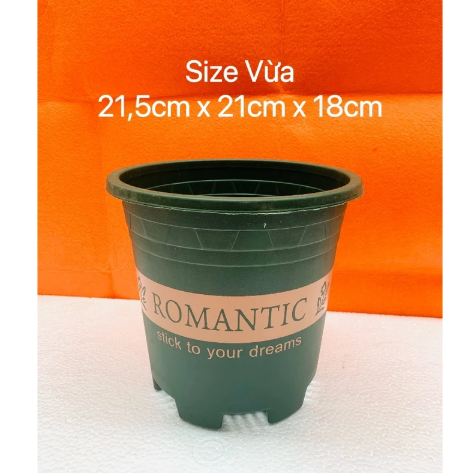 (Loại dày) Chậu trồng cây - Chậu trồng cây nhựa in chữ Romantic - Chậu trồng hoa - Trang trí nhà cửa
