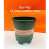 (Loại dày) Chậu trồng cây - Chậu trồng cây nhựa in chữ Romantic - Chậu trồng hoa - Trang trí nhà cửa