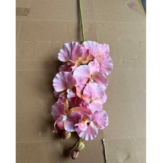Cành hoa lan hồ điệp giả  - Hàng cao cấp bằng cao su 7 bông cánh xoăn - Trang trí cực đẹp và sang trọng