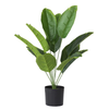 Cây giả - Cây trầu bà cao cấp 12 lá - Decor, Trang trí nhà cửa
