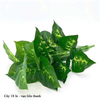 Cây giả - Cây trầu bà cao cấp 12 lá - Decor, Trang trí nhà cửa