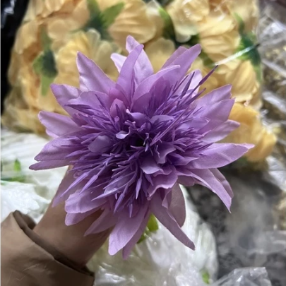Đầu bông hoa Cúc Râu trang trí tết , Decor Loại Đẹp
