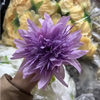 Đầu bông hoa Cúc Râu trang trí tết , Decor Loại Đẹp