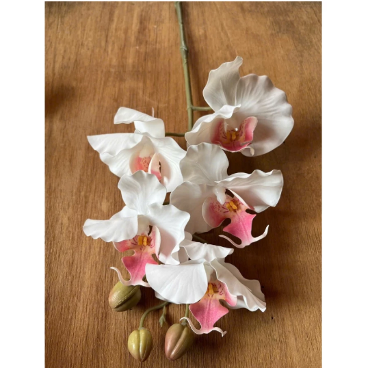 HOA GIẢ , Cành hoa lan hồ điệp giả , bằng cao su ,1 nhánh có 5 bông cánh xoăn - Decor Trang trí nhà cửa cực sang trọng