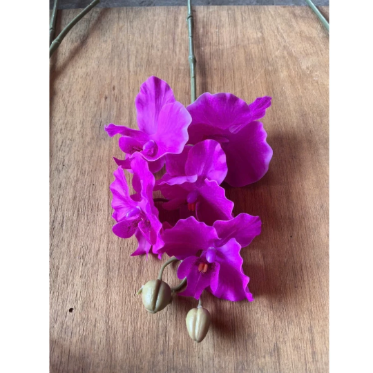 HOA GIẢ , Cành hoa lan hồ điệp giả , bằng cao su ,1 nhánh có 5 bông cánh xoăn - Decor Trang trí nhà cửa cực sang trọng