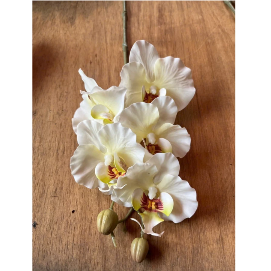 HOA GIẢ , Cành hoa lan hồ điệp giả , bằng cao su ,1 nhánh có 5 bông cánh xoăn - Decor Trang trí nhà cửa cực sang trọng