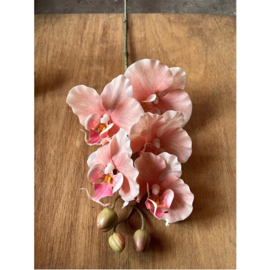 HOA GIẢ , Cành hoa lan hồ điệp giả , bằng cao su ,1 nhánh có 5 bông cánh xoăn - Decor Trang trí nhà cửa cực sang trọng