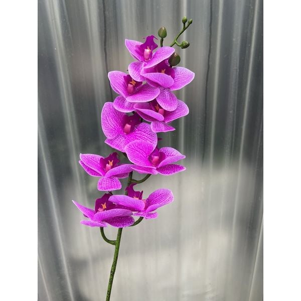 Cành hoa lan hồ điệp cao su 7 bông cao cấp - decor trang trí nhà cửa cực đẹp và sang trọng