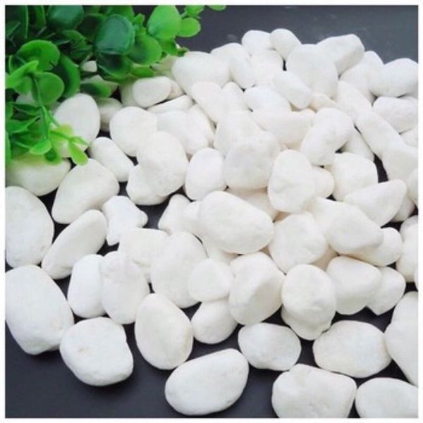 Chậu trồng cây - Chậu trồng cây tròn, hoa văn mắt lưới - Chậu trồng cây giả sứ - Chậu trồng hoa