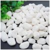 Chậu trồng cây - Chậu trồng cây tròn, hoa văn mắt lưới - Chậu trồng cây giả sứ - Chậu trồng hoa