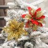 Hoa trạng nguyên vải - Decor Trang trí Tết, làm oản - Trang trí Noel
