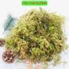 50gr Rêu rừng (Rêu khô) dùng trang trí chậu hoa, tiểu cảnh - Giúp giữ ẩm cho hoa lan