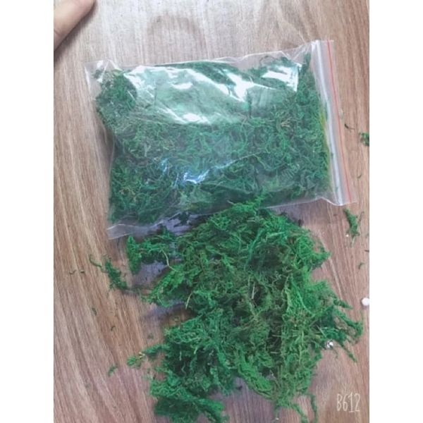 Rêu sợi nhân tạo - Rêu xanh phủ gốc cây trang trí cây cảnh, bể cá - Decor cực đẹp
