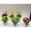 Chậu hoa giả - Chậu hoa cúc nhí để bàn - Chậu hoa nhựa trang trí - Decor trang trí nhà cửa