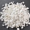 Chậu trồng cây - Chậu trồng cây tròn, hoa văn mắt lưới - Chậu trồng cây giả sứ - Chậu trồng hoa