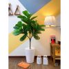 Cây giả - Cây bàng giả Singapore - Cây giả cao cấp giống 99% - Decor Trang trí nhà cửa