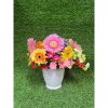 Chậu trồng cây - Chậu trồng cây tròn, hoa văn mắt lưới - Chậu trồng cây giả sứ - Chậu trồng hoa