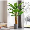 Cây giả - Cây chuối giả 3 thân, cao 1m7 - Cây chuối giả decor, Trang trí nhà cửa