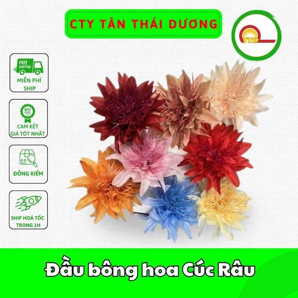 Đầu bông hoa Cúc Râu trang trí tết , Decor Loại Đẹp
