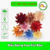 Đầu bông hoa Cúc Râu trang trí tết , Decor Loại Đẹp