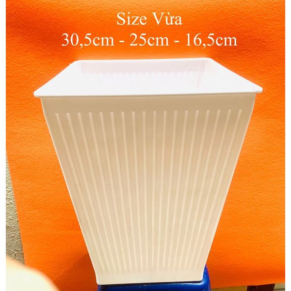 Chậu trồng cây - Chậu trồng cây vuông sọc - Chậu nhựa trồng hoa - Decor Trang trí nhà cửa