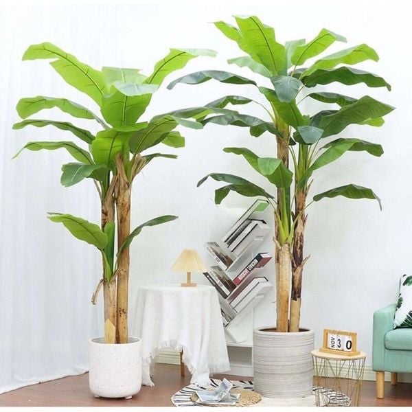 Cây giả - Cây chuối giả 3 thân, cao 1m7 - Cây chuối giả decor, Trang trí nhà cửa