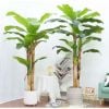 Cây giả - Cây chuối giả 3 thân, cao 1m7 - Cây chuối giả decor, Trang trí nhà cửa