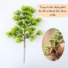 Cây Giả - Cành Tùng giả - Cành Thông giả - Làm cây bonsai, Decor trang trí tiểu cảnh