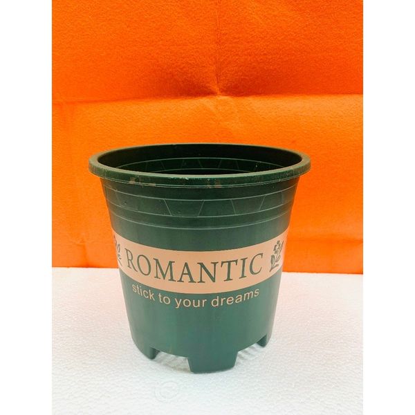 (Loại dày) Chậu trồng cây - Chậu trồng cây nhựa in chữ Romantic - Chậu trồng hoa - Trang trí nhà cửa