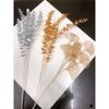 Cành Lá Táo Vàng , Cành Rẻ Quạt Tạo Điểm Trang Trí Decor