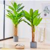 Cây giả - Cây chuối giả 3 thân, cao 1m7 - Cây chuối giả decor, Trang trí nhà cửa