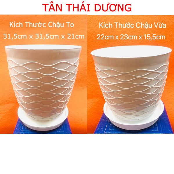 Chậu trồng cây - Chậu trồng cây tròn, hoa văn mắt lưới - Chậu trồng cây giả sứ - Chậu trồng hoa