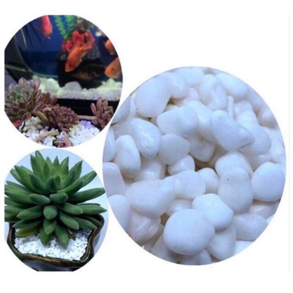 Chậu trồng cây - Chậu trồng cây tròn, hoa văn mắt lưới - Chậu trồng cây giả sứ - Chậu trồng hoa