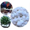 Chậu trồng cây - Chậu trồng cây tròn, hoa văn mắt lưới - Chậu trồng cây giả sứ - Chậu trồng hoa