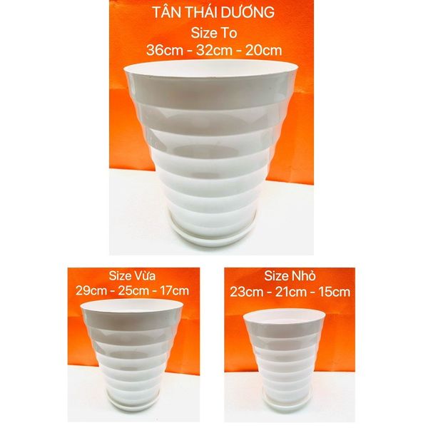(Loại dày) Chậu trồng cây - Chậu trồng cây tròn - Chậu trồng cây nhựa - Chậu trồng hoa - Trang trí nhà cửa