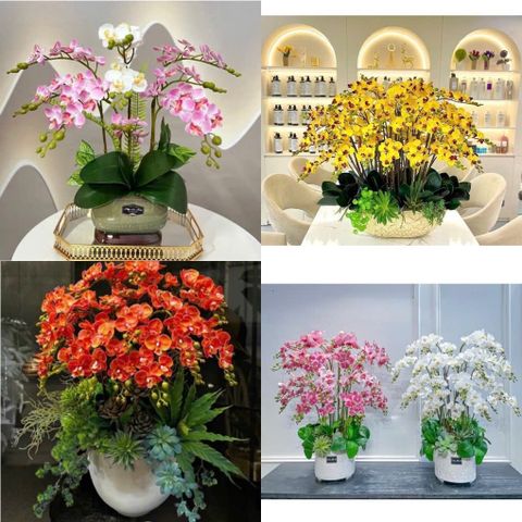 (2 nhánh 10 bông ) CÀNH HOA LAN HỒ ĐIỆP ,BẰNG CAO SU , Tiểu hồ điệp 2 nhánh.. LOẠI XỊN CỰC GIỐNG HOA THẬT