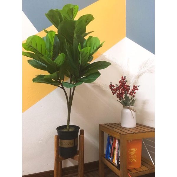 Cây giả - Cây bàng giả Singapore - Cây giả cao cấp giống 99% - Decor Trang trí nhà cửa
