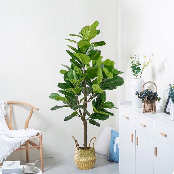 Cây giả - Cây bàng giả Singapore - Cây giả cao cấp giống 99% - Decor Trang trí nhà cửa