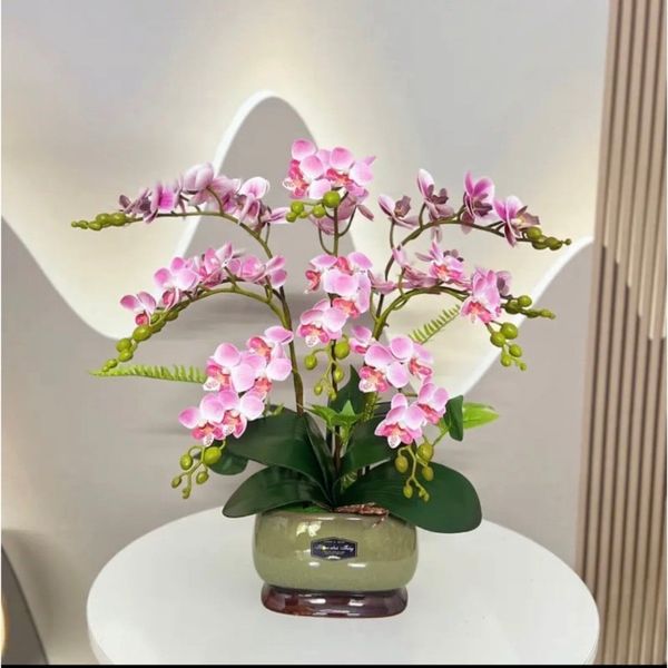 (2 nhánh 10 bông ) CÀNH HOA LAN HỒ ĐIỆP ,BẰNG CAO SU , Tiểu hồ điệp 2 nhánh.. LOẠI XỊN CỰC GIỐNG HOA THẬT