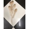 Cành Lá Táo Vàng , Cành Rẻ Quạt Tạo Điểm Trang Trí Decor