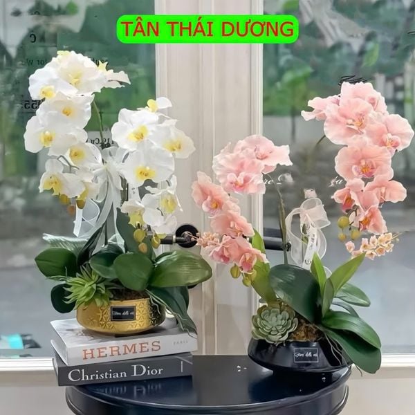 HOA GIẢ , Cành hoa lan hồ điệp giả , bằng cao su ,1 nhánh có 5 bông cánh xoăn - Decor Trang trí nhà cửa cực sang trọng