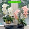 HOA GIẢ , Cành hoa lan hồ điệp giả , bằng cao su ,1 nhánh có 5 bông cánh xoăn - Decor Trang trí nhà cửa cực sang trọng