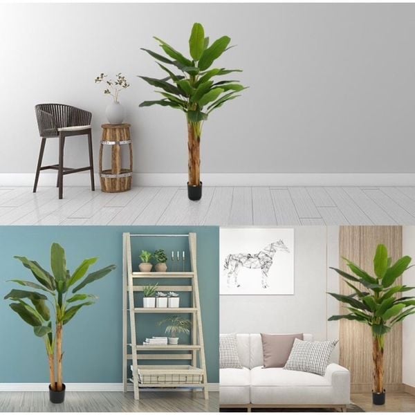 Cây giả - Cây chuối giả 3 thân, cao 1m7 - Cây chuối giả decor, Trang trí nhà cửa