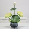 Cành sen giả - Cành sen xốp cao cấp decor trang trí rất đẹp và sang trọng