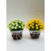 Chậu hoa - Chậu hoa tú cầu thắt nơ - Chậu hoa giả để bàn, Decor trang trí nhà cửa