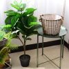 Cây giả - Cây bàng giả Singapore - Cây giả cao cấp giống 99% - Decor Trang trí nhà cửa